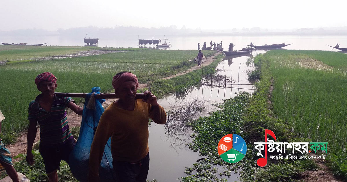 চাপাইগাছি বিল