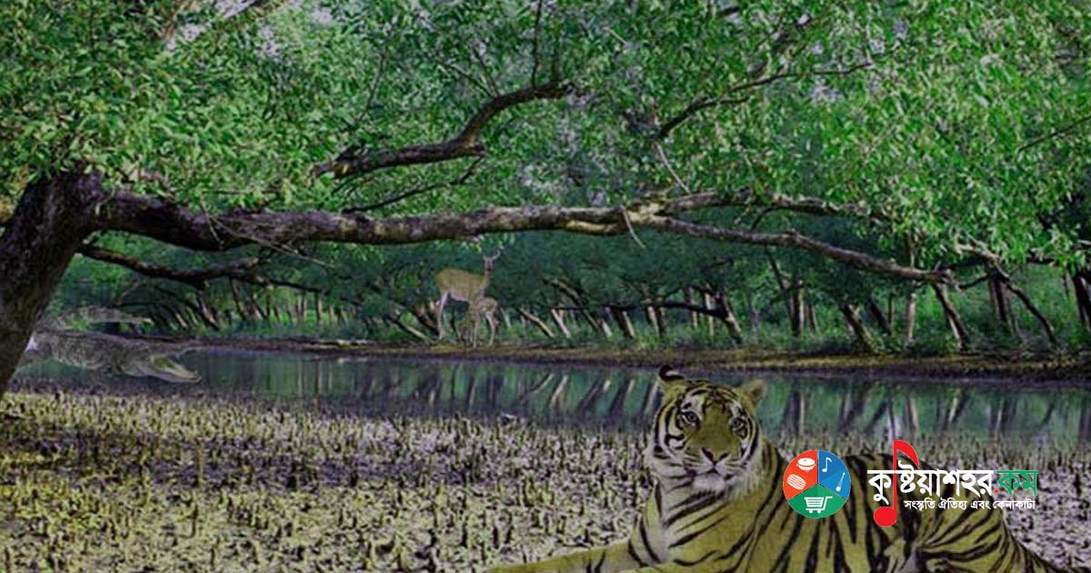 হিরণ পয়েন্ট - সুন্দরবন