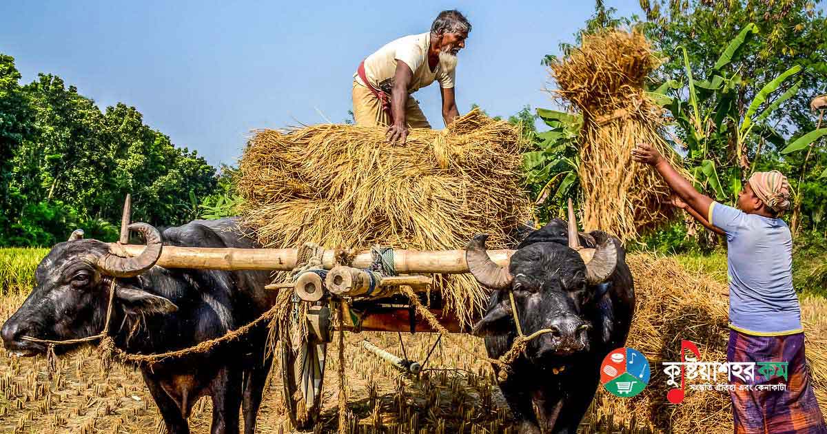 Photo credit: Najmul Islam - Golden Bangla