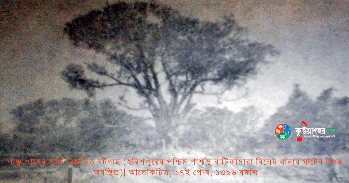 পাঞ্জু শাহ্‌ সৃতি বিজড়িত বটগাছ