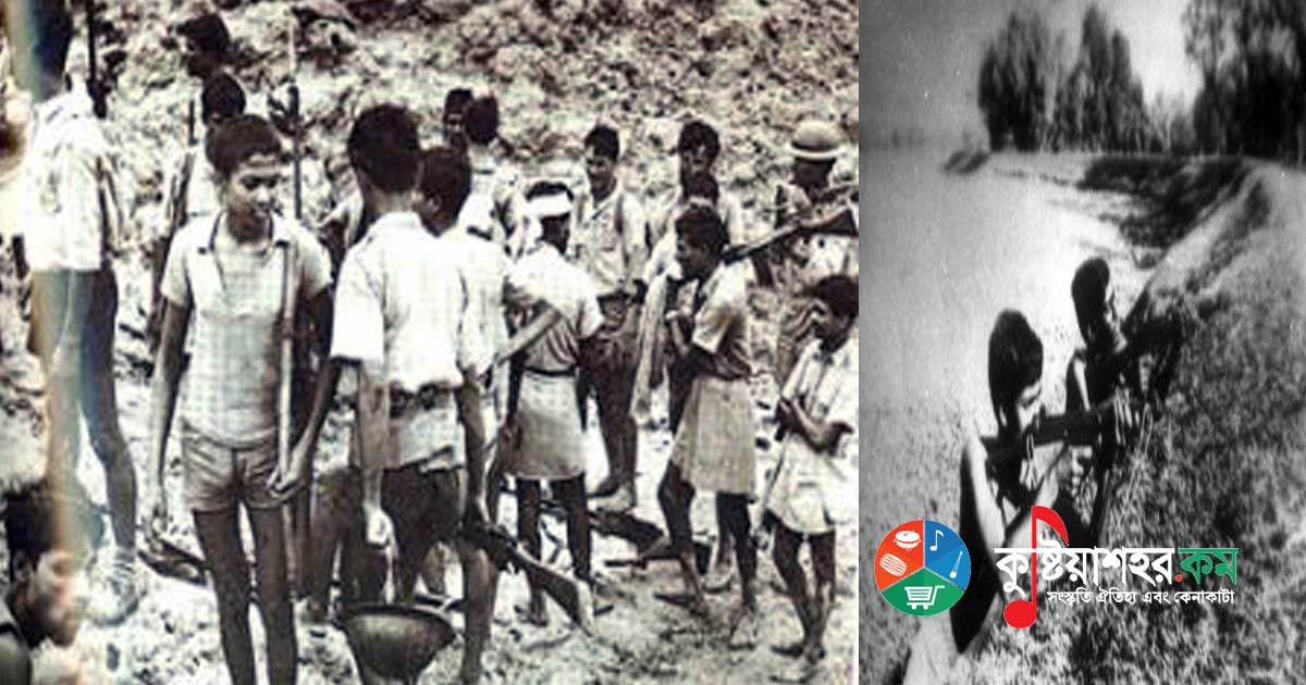 মুক্তিযুদ্ধের নীরব সাক্ষী কুষ্টিয়ার দুর্বাচারা