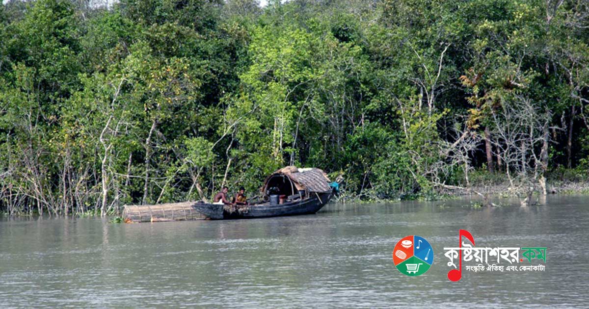 সুন্দরবন