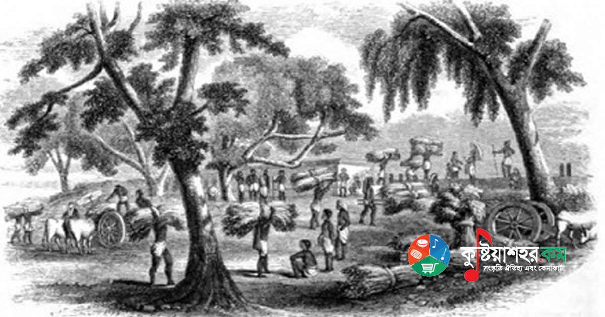 নীল বিদ্রোহ ও নীল চাষের সমাপ্তি